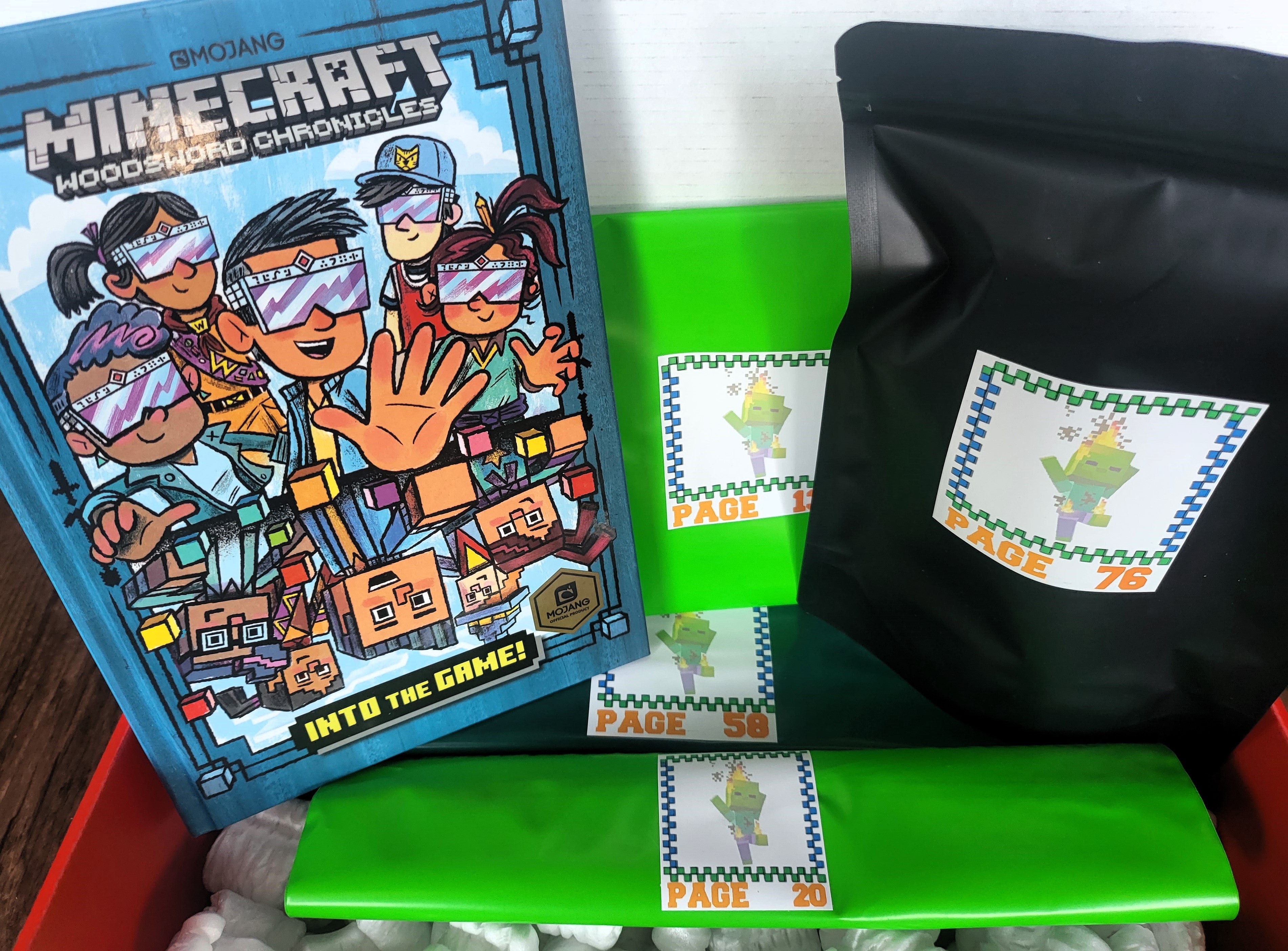 MINECRAFT Into The Game Little Read Book Box